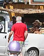 Filename=043.jpg
Filesize=623KiB
Dimensions=3000x2000
Date added=Aug 11, 2016 043.jpg