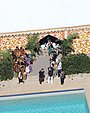 Filename=031.jpg
Filesize=888KiB
Dimensions=2500x1666
Date added=May 21, 2017 031.jpg