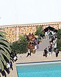 Filename=033.jpg
Filesize=926KiB
Dimensions=2500x1667
Date added=May 21, 2017 033.jpg