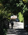 Filename=043.jpg
Filesize=1447KiB
Dimensions=2832x4256
Date added=May 21, 2017 043.jpg