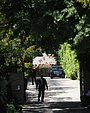 Filename=046.jpg
Filesize=1411KiB
Dimensions=2832x4256
Date added=May 21, 2017 046.jpg