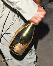 00074.jpg