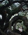 Filename=021.jpg
Filesize=913KiB
Dimensions=2077x1559
Date added=Apr 25, 2016 021.jpg