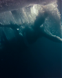Filename=IMG_0253.png
Filesize=262KiB
Dimensions=720x480
Date added=Mar 22, 2016 IMG_0253.png