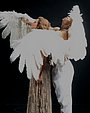 Filename=103.jpg
Filesize=238KiB
Dimensions=1784x2667
Date added=Jan 15, 2017 103.jpg