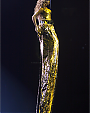 Filename=35.png
Filesize=3652KiB
Dimensions=1401x2100
Date added=Jul 23, 2012 35.png