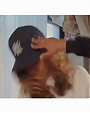 Filename=Jay-Z_-_December_4th_Official_Music_Video_flv0384.png
Filesize=150KiB
Dimensions=640x480
Date added=Aug 02, 2012 Jay-Z_-_December_4th_Official_Music_Video_flv0384.png