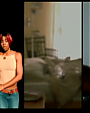 Filename=Destiny_s_Child_-_Emotion_flv0806.png
Filesize=217KiB
Dimensions=854x480
Date added=Jul 31, 2012 Destiny_s_Child_-_Emotion_flv0806.png