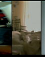 Filename=Destiny_s_Child_-_Emotion_flv0812.png
Filesize=174KiB
Dimensions=854x480
Date added=Jul 31, 2012 Destiny_s_Child_-_Emotion_flv0812.png