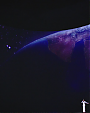 Filename=I_Was_Here_(United_Nations_World_Humanitarian_Day_Perform____mp40108.png
Filesize=504KiB
Dimensions=1920x1080
Date added=Aug 18, 2012 I_Was_Here_(United_Nations_World_Humanitarian_Day_Perform____mp40108.png