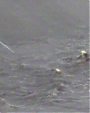 Filename=I_Was_Here_(United_Nations_World_Humanitarian_Day_Perform____mp40271.png
Filesize=1136KiB
Dimensions=1920x1080
Date added=Aug 18, 2012 I_Was_Here_(United_Nations_World_Humanitarian_Day_Perform____mp40271.png