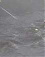 Filename=I_Was_Here_(United_Nations_World_Humanitarian_Day_Perform____mp40272.png
Filesize=1150KiB
Dimensions=1920x1080
Date added=Aug 18, 2012 I_Was_Here_(United_Nations_World_Humanitarian_Day_Perform____mp40272.png