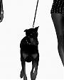 Filename=Soldier_flv1352.png
Filesize=128KiB
Dimensions=640x480
Date added=Aug 01, 2012 Soldier_flv1352.png