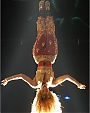 vma12.jpg