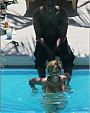 Filename=pool02~0.jpeg
Filesize=59KiB
Dimensions=450x698
Date added=Dec 30, 2011 pool02~0.jpeg