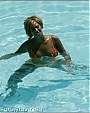 Filename=pool28.jpeg
Filesize=47KiB
Dimensions=550x415
Date added=Dec 30, 2011 pool28.jpeg