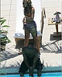 Filename=pool48.jpeg
Filesize=53KiB
Dimensions=450x677
Date added=Dec 30, 2011 pool48.jpeg