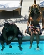 Filename=pool49.jpeg
Filesize=50KiB
Dimensions=550x472
Date added=Dec 30, 2011 pool49.jpeg