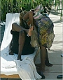 Filename=pool74.jpeg
Filesize=59KiB
Dimensions=450x625
Date added=Dec 30, 2011 pool74.jpeg