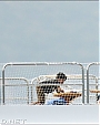 Filename=007~19.jpg
Filesize=99KiB
Dimensions=1000x548
Date added=Jan 02, 2012 007~19.jpg