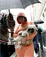 Filename=set08~0.jpg
Filesize=152KiB
Dimensions=700x1057
Date added=Jan 25, 2012 set08~0.jpg