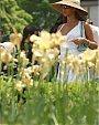 Filename=set55.jpg
Filesize=97KiB
Dimensions=700x1072
Date added=Jan 25, 2012 set55.jpg