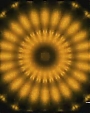 Beyonc_-_Work_It_Out_flv0089.jpg