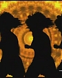 Filename=Beyonc_-_Work_It_Out_flv0372.jpg
Filesize=31KiB
Dimensions=640x480
Date added=Aug 01, 2012 Beyonc_-_Work_It_Out_flv0372.jpg