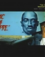 Filename=Jay-Z___Beyonce_-_03_Bonnie___Clyde_flv0439.jpg
Filesize=35KiB
Dimensions=800x600
Date added=Aug 01, 2012 Jay-Z___Beyonce_-_03_Bonnie___Clyde_flv0439.jpg