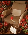 Filename=happilyeverafter108.jpg
Filesize=65KiB
Dimensions=980x544
Date added=Aug 01, 2012 happilyeverafter108.jpg