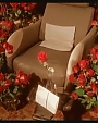 Filename=happilyeverafter109.jpg
Filesize=66KiB
Dimensions=980x544
Date added=Aug 01, 2012 happilyeverafter109.jpg