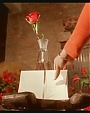 Filename=happilyeverafter131.jpg
Filesize=53KiB
Dimensions=980x544
Date added=Aug 01, 2012 happilyeverafter131.jpg
