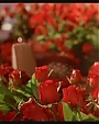 happilyeverafter83.jpg