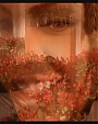 happilyeverafter96.jpg