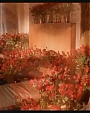 happilyeverafter97.jpg