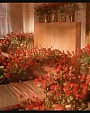 happilyeverafter98.jpg
