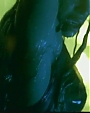 Filename=Beyonc_Jay-Z_-_Crazy_In_Love_flv0405.jpg
Filesize=33KiB
Dimensions=0x0
Date added=Aug 02, 2012 Beyonc_Jay-Z_-_Crazy_In_Love_flv0405.jpg