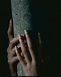 Filename=Beyonc_featuring_Sean_Paul_-_Baby_Boy_ft__Sean_Paul_flv0789.jpg
Filesize=21KiB
Dimensions=1000x555
Date added=Aug 02, 2012 Beyonc_featuring_Sean_Paul_-_Baby_Boy_ft__Sean_Paul_flv0789.jpg