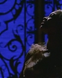 Filename=Beyonce_-_A_Woman_Like_Me_flv4777.jpg
Filesize=42KiB
Dimensions=1000x566
Date added=Aug 02, 2012 Beyonce_-_A_Woman_Like_Me_flv4777.jpg