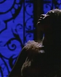 Filename=Beyonce_-_A_Woman_Like_Me_flv4779.jpg
Filesize=39KiB
Dimensions=1000x566
Date added=Aug 02, 2012 Beyonce_-_A_Woman_Like_Me_flv4779.jpg