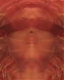 Beyonc_-_1_1_mp43634.jpg