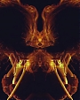 Beyonc_-_1_1_mp43643.jpg
