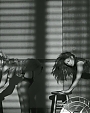 Filename=Beyonc_-_Dance_For_You_mp45302.jpg
Filesize=95KiB
Dimensions=1500x844
Date added=Aug 06, 2012 Beyonc_-_Dance_For_You_mp45302.jpg