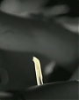 Filename=Beyonc_-_Diva_flv2378.jpg
Filesize=21KiB
Dimensions=854x480
Date added=Aug 06, 2012 Beyonc_-_Diva_flv2378.jpg