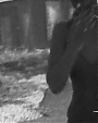 Filename=Beyonc_-_Flaws_And_All_flv4594.jpg
Filesize=26KiB
Dimensions=640x480
Date added=Aug 06, 2012 Beyonc_-_Flaws_And_All_flv4594.jpg