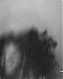 Filename=Beyonc_-_Flaws_And_All_flv4605.jpg
Filesize=18KiB
Dimensions=640x480
Date added=Aug 06, 2012 Beyonc_-_Flaws_And_All_flv4605.jpg