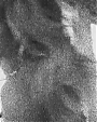 Filename=Beyonc_-_Flaws_And_All_flv4662.jpg
Filesize=56KiB
Dimensions=640x480
Date added=Aug 06, 2012 Beyonc_-_Flaws_And_All_flv4662.jpg
