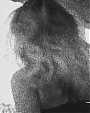Filename=Beyonc_-_Flaws_And_All_flv4663.jpg
Filesize=45KiB
Dimensions=640x480
Date added=Aug 06, 2012 Beyonc_-_Flaws_And_All_flv4663.jpg