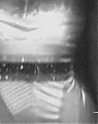 Filename=Beyonc_-_Flaws_And_All_flv4723.jpg
Filesize=23KiB
Dimensions=640x480
Date added=Aug 06, 2012 Beyonc_-_Flaws_And_All_flv4723.jpg