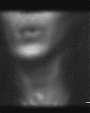 Filename=Beyonc_-_Flaws_And_All_flv4744.jpg
Filesize=16KiB
Dimensions=640x480
Date added=Aug 06, 2012 Beyonc_-_Flaws_And_All_flv4744.jpg